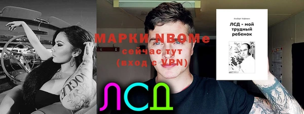 дживик Ельня