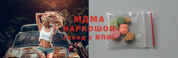 индика Елизово