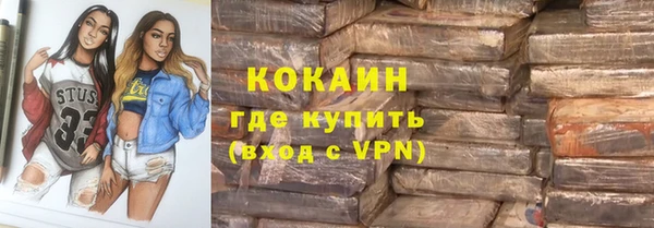 ешки Алексин
