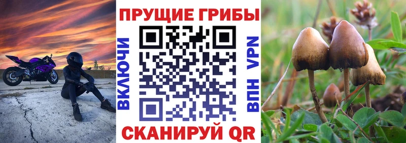 Галлюциногенные грибы ЛСД  наркотики  Туймазы 